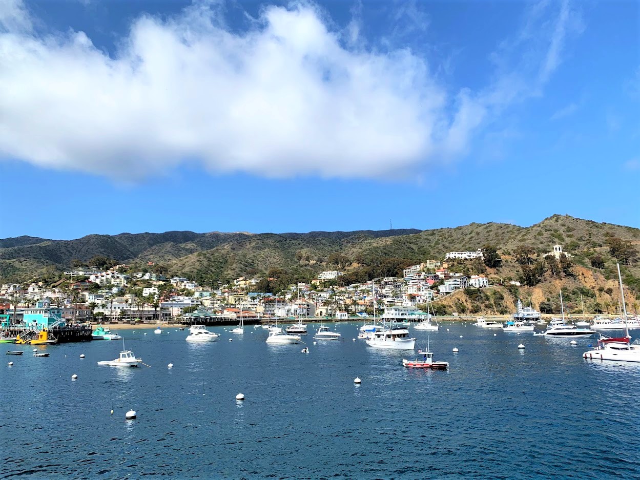 Backpacking Catalina Island - Two Harbors to Little Harbor (2021 ...